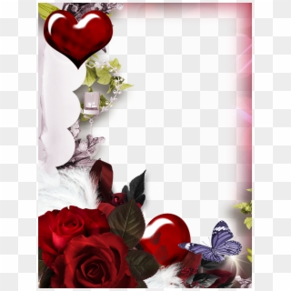 Love Frames Png - Garden Roses, Transparent Png