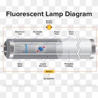 What Is Fluorescent Lighting A Diagram Of How A Fluorescent - Do Fluorescent Lights Work, HD Png Download