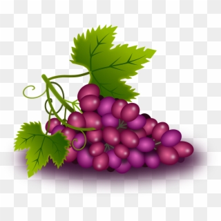 Grapes Vine Vineyard Wine Png Image - องุ่น การ์ตูน Png, Transparent Png