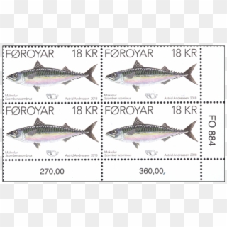 Stamps Fo Date Of - Pacific Sturgeon, HD Png Download
