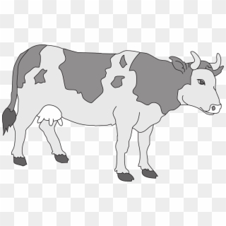 Gray Cow Clipart, HD Png Download