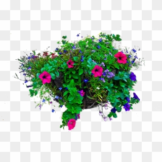 Photo Hanging Basket Of Flowers, HD Png Download