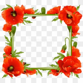 Free Png Poppies Transparent Frame Background Best - Poppy Frame Png, Png Download