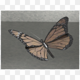 Josip Jakubiv - Monarch Butterfly, HD Png Download