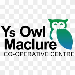Y's Owl Maclure, HD Png Download