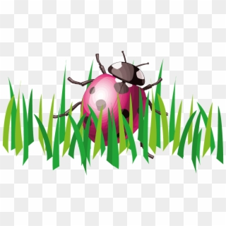 Ladybug Grass Insect Garden Png Image - Ladybug In Garden Clip Art, Transparent Png