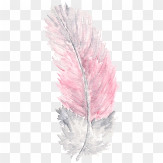 Grey Wallpaper Phone, Cellphone Wallpaper, Pink And - Transparent Background Pink Feather, HD Png Download