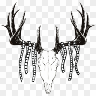 Antelope Drawing Antler - Deer Head Logo Drawing, HD Png Download