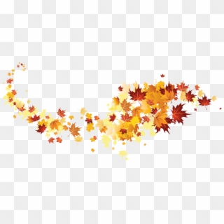 Autumn Color Leaves Leaf Hd Image Free Png Clipart - Hojas Otoño Vinilo, Transparent Png