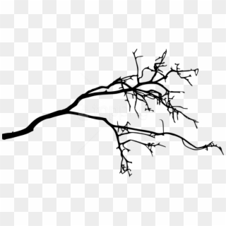 Free Png Tree Branch Silhouette Png Images Transparent - Tree Branch Transparent Background, Png Download