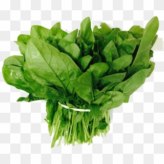 Organic-spinach - Green Leaf Lettuce, HD Png Download