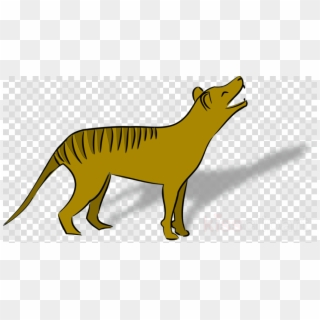 Thylacine Clipart Tasmanian Devil Thylacine - Clipart Of Black Panthers, HD Png Download