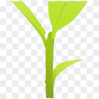 Dirt Clipart Small Plant - Houseplant, HD Png Download