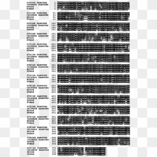 Amino Acid Alignment Of Syrian And Chinese Hamster, - Monochrome, HD Png Download