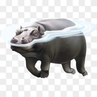 Hippo Png Picture - Hippo Vs Polar Bear, Transparent Png