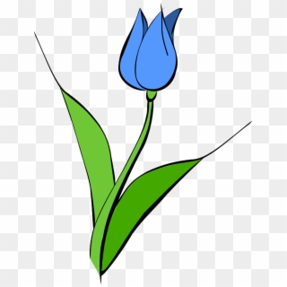 Blue Tulip Clip Art - Blue Tulip Clipart, HD Png Download