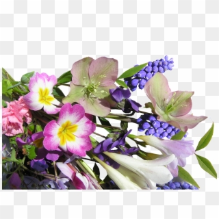 Flower Bunch Mixed - Bouquet, HD Png Download