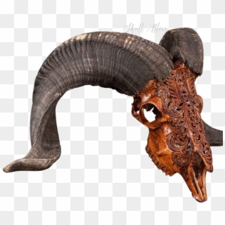 Carved Ram Skull - Insect, HD Png Download