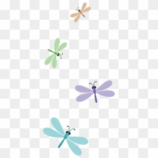 Sb032 - Dragonfly, HD Png Download