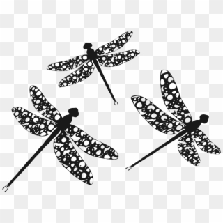 Dragonfly Silhouettes - Clip Art, HD Png Download
