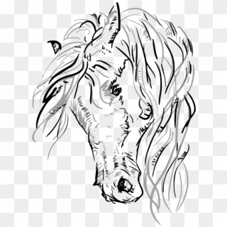 Vector Horse Horsehead Grayscale Png Image - Horse Head Png, Transparent Png