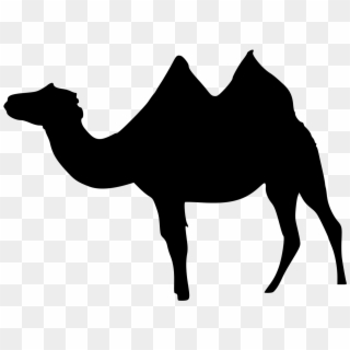 File - Camelus Bactrianus-sil - Svg - Bactrian Camel, HD Png Download
