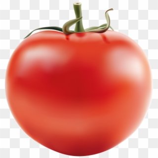 Tomato - Tomato Jpg, HD Png Download