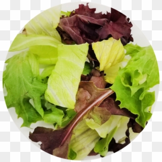 Poké Salad - Spring Greens, HD Png Download