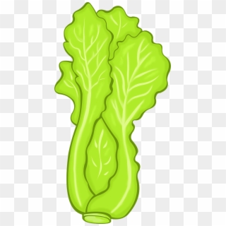 Lettuce Vegetables Food Organic Png Image - Lettuce Clip Art, Transparent Png