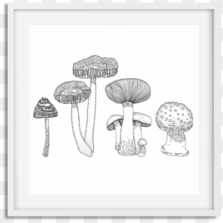 Mushrooms Frame - Agaric, HD Png Download
