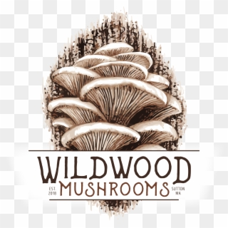 Mushrooms Logo Design, HD Png Download