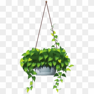 Hanging Flower 6 - Hanging Pot Plants Vector, HD Png Download