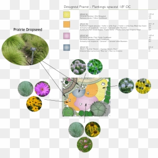 Naturalistic Front Yard Planting-plan - Naturalistic Landscape Plant Designs, HD Png Download