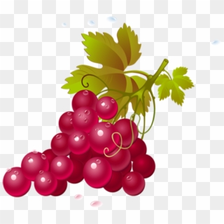 Grapes Fruits Png Transparent Images Clipart Icons - Vin Minute, Png Download