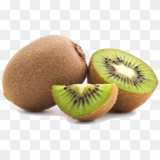 Kiwi Fruit Png Clipart - Kiwi Png, Transparent Png