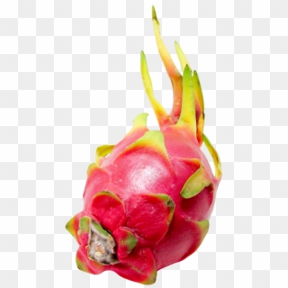 Download Pitaya Or Dragon Fruit Png Image, Transparent Png