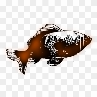 This Free Icons Png Design Of Simple Goldfish, Transparent Png