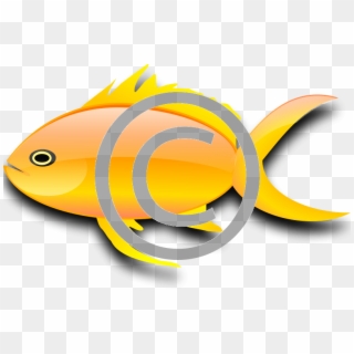 Goldfish - Png - Gold Fish Clip Art, Transparent Png