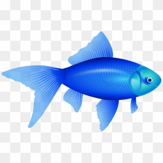This Free Icons Png Design Of Not Gold Fish, Ne Auksinä, Transparent Png