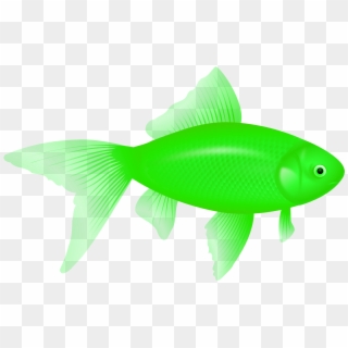Fish Eight - Green Fish Transparent Background, HD Png Download