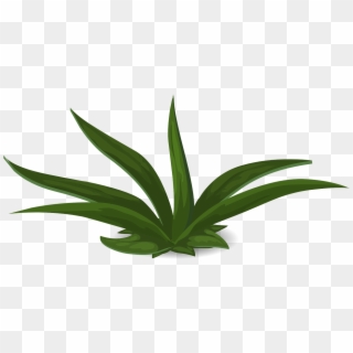 Green Plants Leafy Greenery Png Image - Plants, Transparent Png
