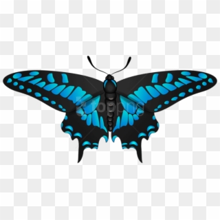 Free Png Butterfly Blue Black Png Images Transparent - Portable Network Graphics, Png Download