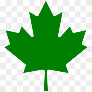 Maple Leaf Green - Canadian Maple Leaf Png, Transparent Png