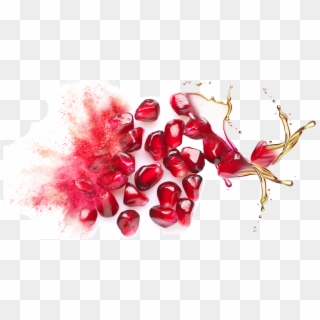 Bulk Supply & Manufacture Of Pomegranate Seed Oil & - Pomegranate Seed Oil Png, Transparent Png