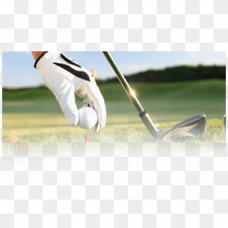 Bg-sports - Golf Tee, HD Png Download