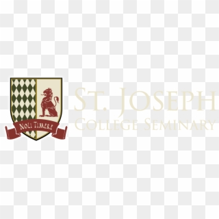 Dying Light Mother's Day Transparent Background - St Joseph Seminary Charlotte Nc, HD Png Download
