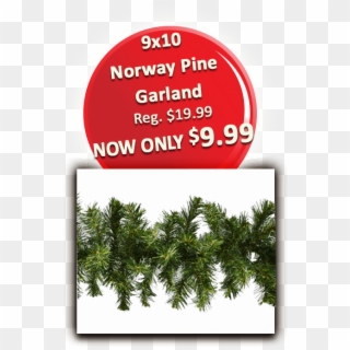 3 9×10 Norway Pine Garland - Register Button, HD Png Download