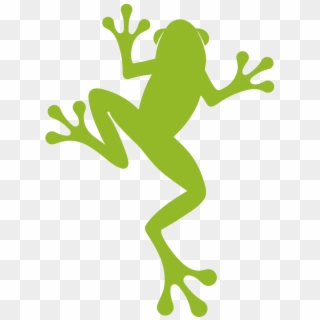 A New Look For Our Frog - True Frog, HD Png Download