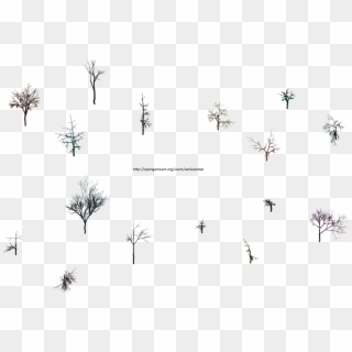 Hjm Dead Trees Rootless 1 Alpha - Line Art, HD Png Download