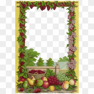Free Fruit Clip Art Decorative Frame From - Fruits Borders And Frames, HD Png Download